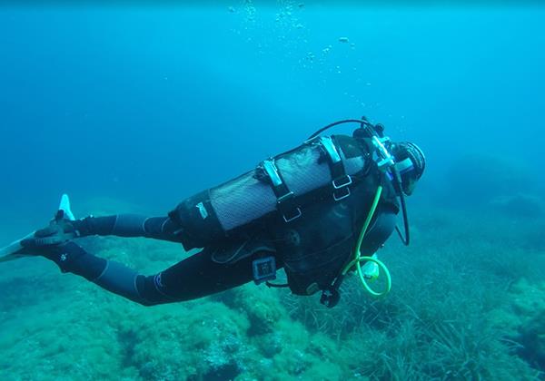 Discovery Diving