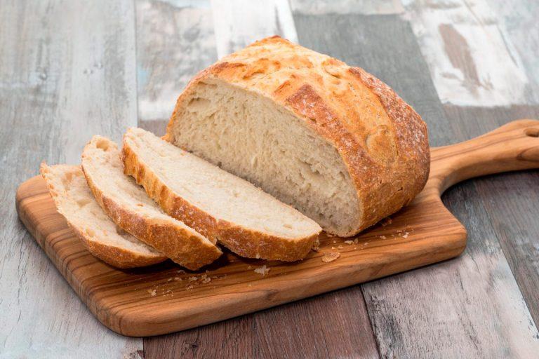 Pane 1 768x512