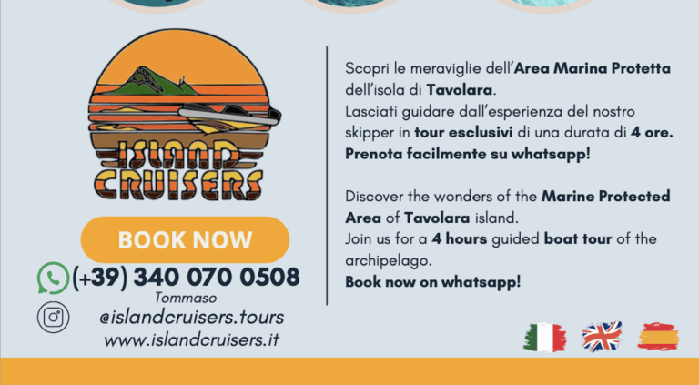 island cruisers 1 768x423